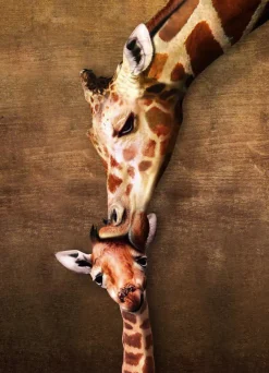 Puzzle Mother and baby giraffe