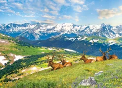 Puzzle Mountain Elks