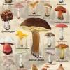 Puzzle Mushrooms
