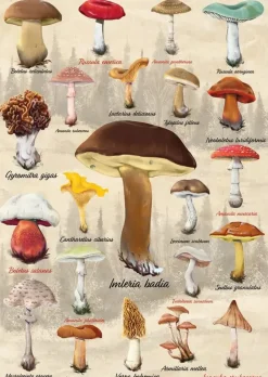 Puzzle Mushrooms