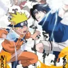 Puzzle Naruto vs. Sasuke