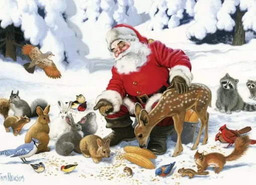 Puzzle Newsom: Family Puzzle: Santa Claus and Friends