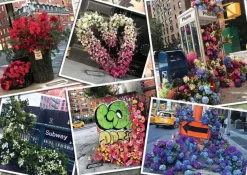 Puzzle NYC flash of flowers