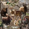 Puzzle Open Season