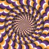 Puzzle Optical Illusion