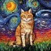 Puzzle Orange Tabby Night