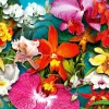Puzzle Orchid Jungle