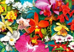 Puzzle Orchid Jungle