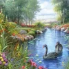 Puzzle Orpinas: Black Swans