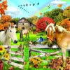 Puzzle Out in the Pasture