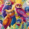 Puzzle Owl Autonomy 2000