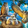 Puzzle Owl Family II