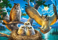 Puzzle Owl Family II