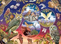 Puzzle Owl Magic