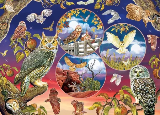 Puzzle Owl Magic