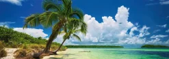 Puzzle Palm trees in paradise