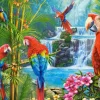 Puzzle Parrot Meeting
