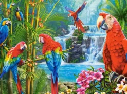 Puzzle Parrot Meeting
