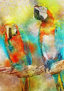 Puzzle Parrots