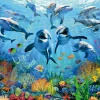 Puzzle Party under the sea