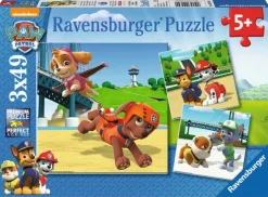 Puzzle Paw Patrol: Team of 4 Paws