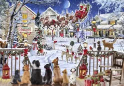 Puzzle Pets on Porch 1500