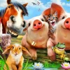 Puzzle Petting Farm