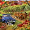 Puzzle Pick Ur Own Apples 500XXL