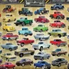 Puzzle Pickup Truck Evolution