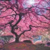 Puzzle Pink Tree