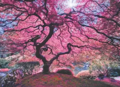 Puzzle Pink Tree