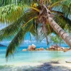 Puzzle Plage Tropicale