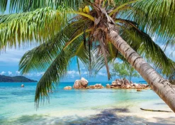 Puzzle Plage Tropicale