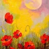 Puzzle Poppies in the Moonlight