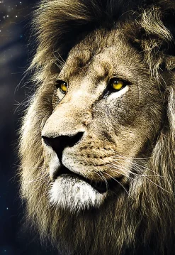 Puzzle Portrait of the lion