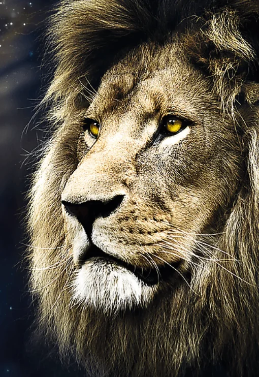Puzzle Portrait of the lion