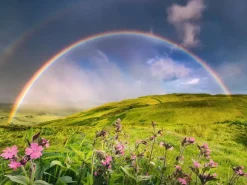 Puzzle Power of Nature: Spectacular rainbow