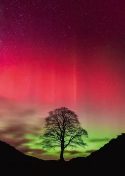 Puzzle Power of Nature: Sycamore Gap