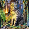Puzzle Premium Plus: Lisa Parker - Book of Shadows
