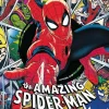 Puzzle Premium Plus: Spider-man