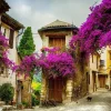 Puzzle Provence, France