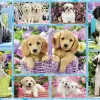 Puzzle Puppies 200
