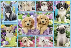 Puzzle Puppies 200