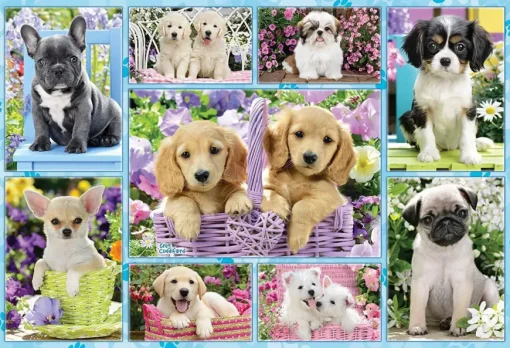 Puzzle Puppies 200