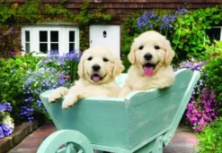 Puzzle Puppies in a Wheelbarrow