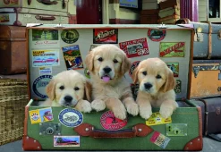 Puzzle Puppies in the luggage