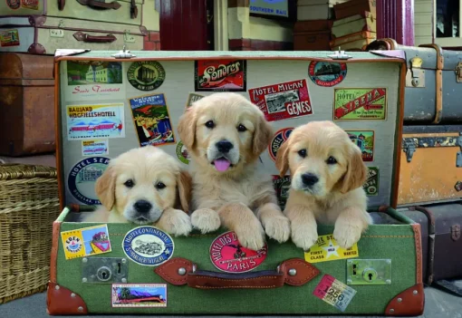 Puzzle Puppies in the luggage