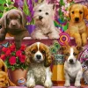 Puzzle Puppies on the shelf