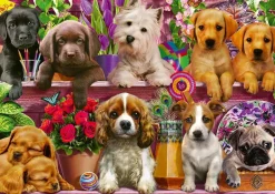 Puzzle Puppies on the shelf