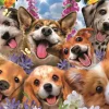Puzzle Puppies Selfie